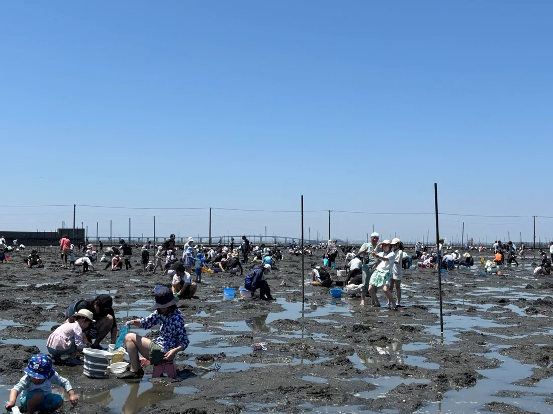 牛込海岸で潮干狩りを楽しむ来場者の様子