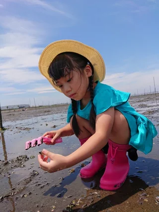 干潟にしゃがんで貝を探す子ども