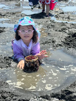 干潟に座って貝を見せる青い帽子の子ども
