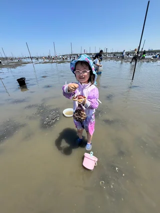 浅い水辺で貝を見せる子ども