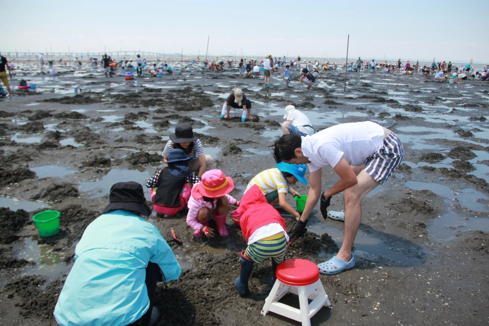 牛込海岸で潮干狩りを楽しむ来場者