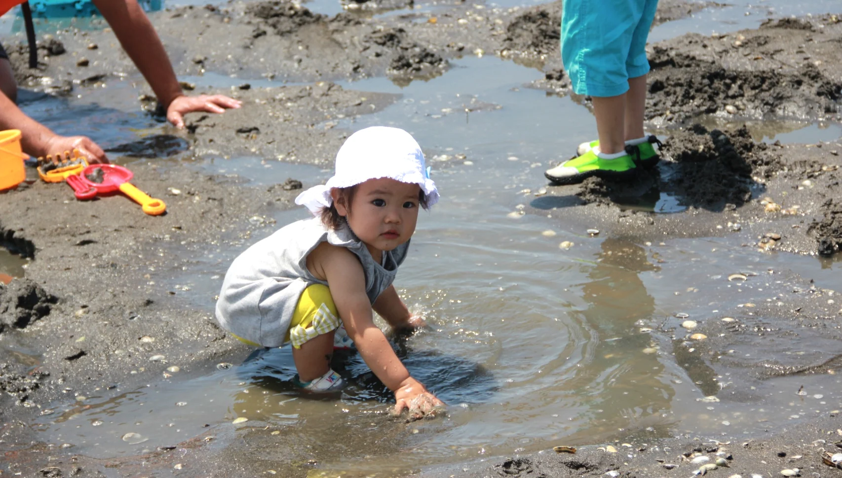 干潟の浅い水に手を伸ばして潮干狩りを楽しむ幼い子ども