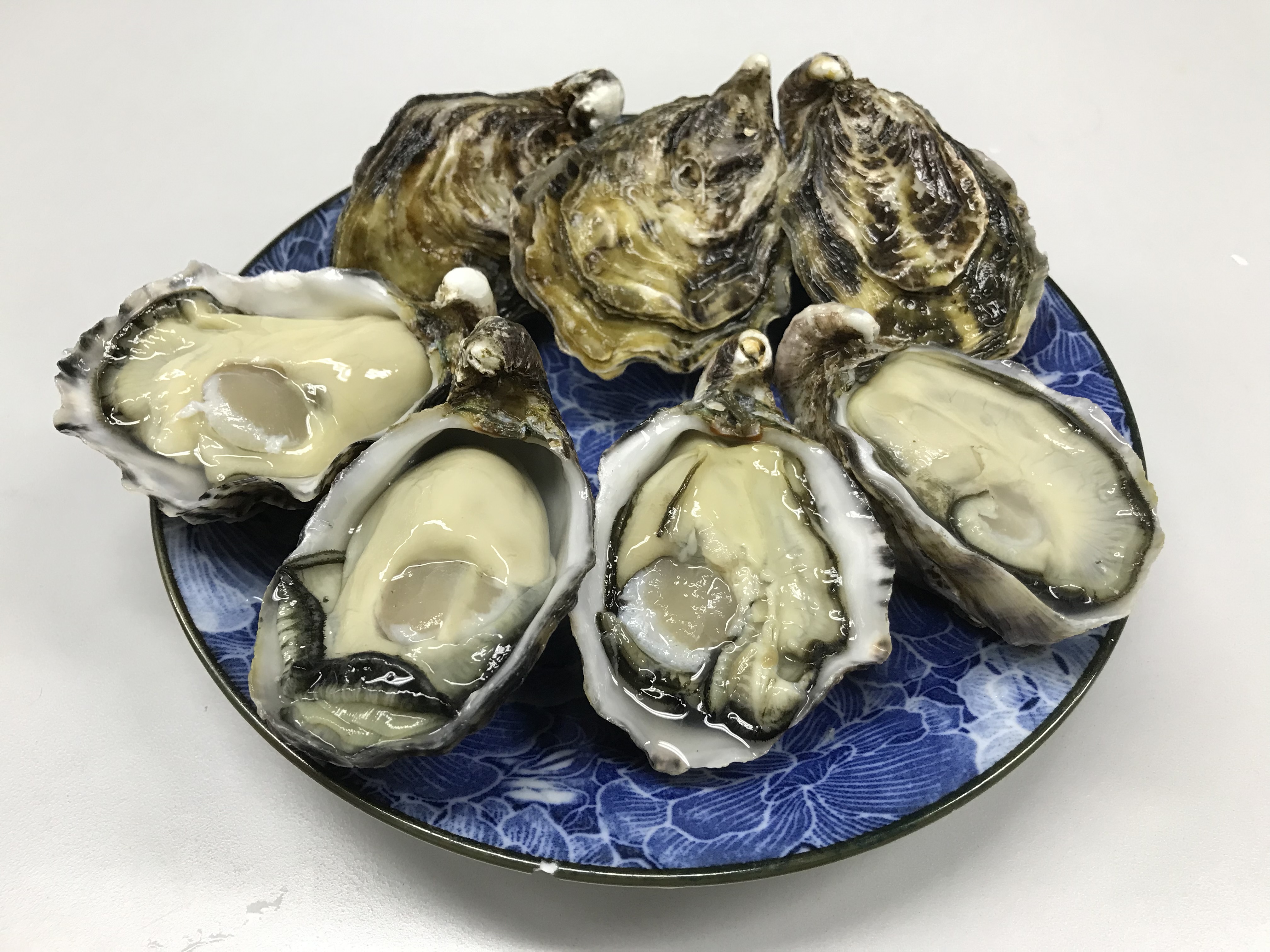 皿に盛り付けた殻付きと殻を開いた月夜牡蠣